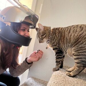 Meet your Posher, Patsy